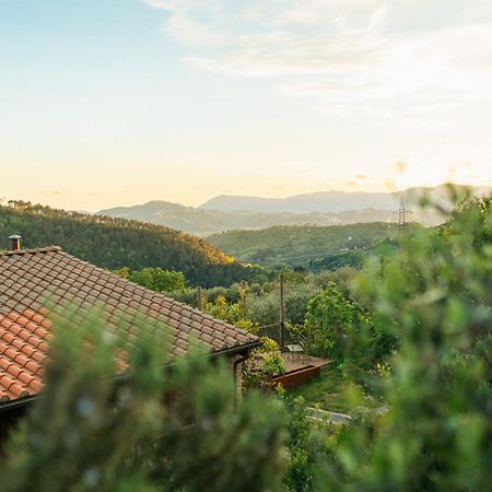 Agriturismo La Burlanda Фоздіново Екстер'єр фото